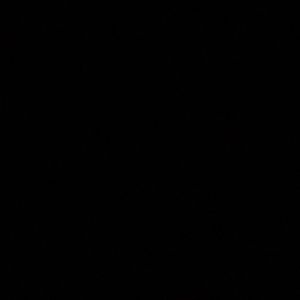 Meet your Posher, Ariel